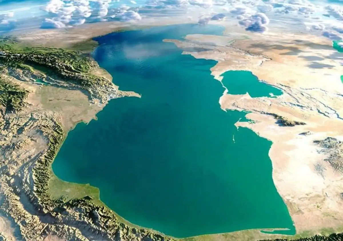 آیا دریای خزر در شمال دلفین دارد؟
