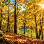 سفر پاییزی به شمال ایران با بودجه کم