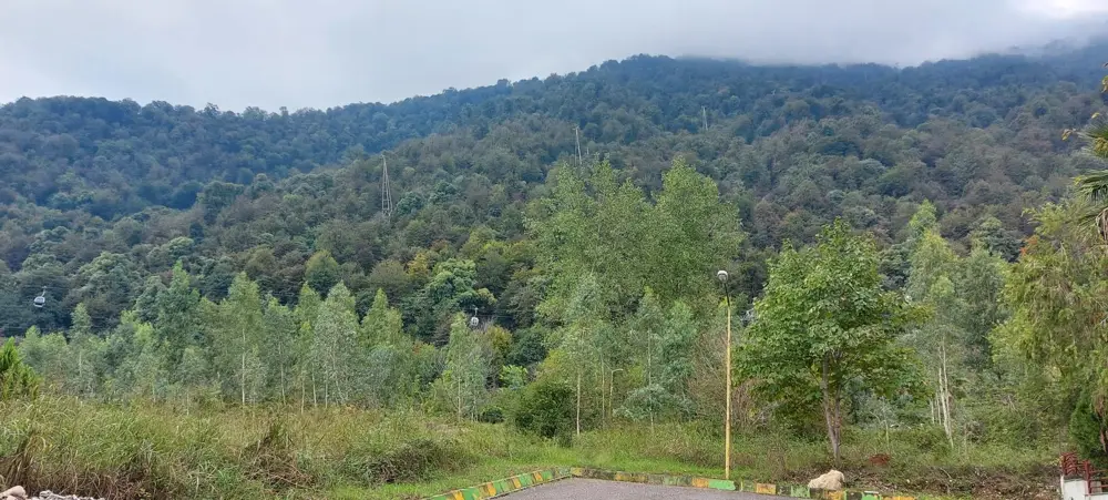 نمکآبرود