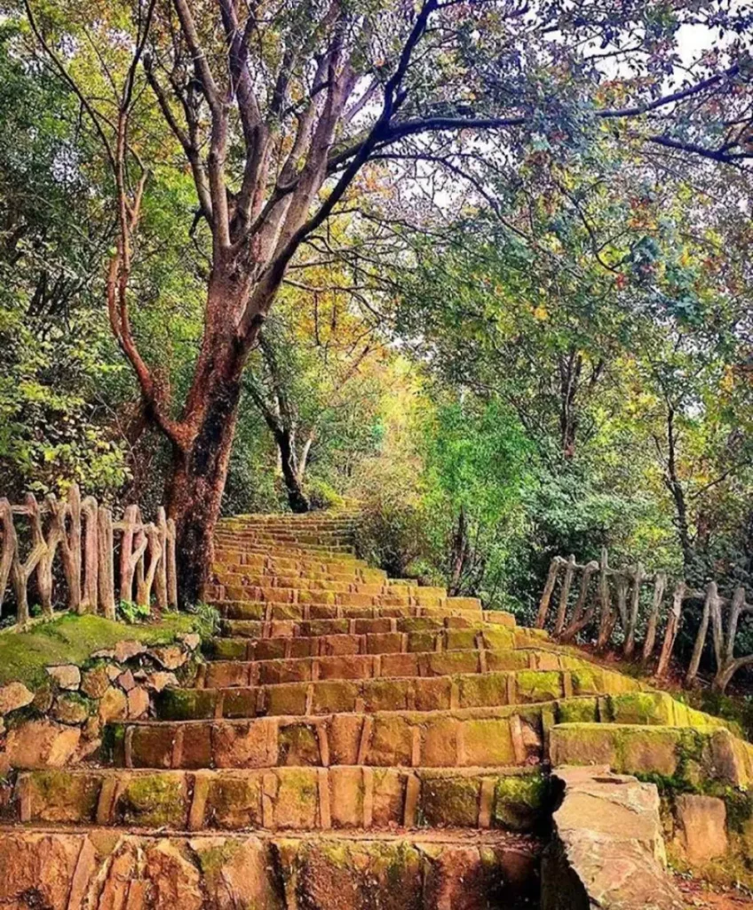 لاهیجان در پاییز