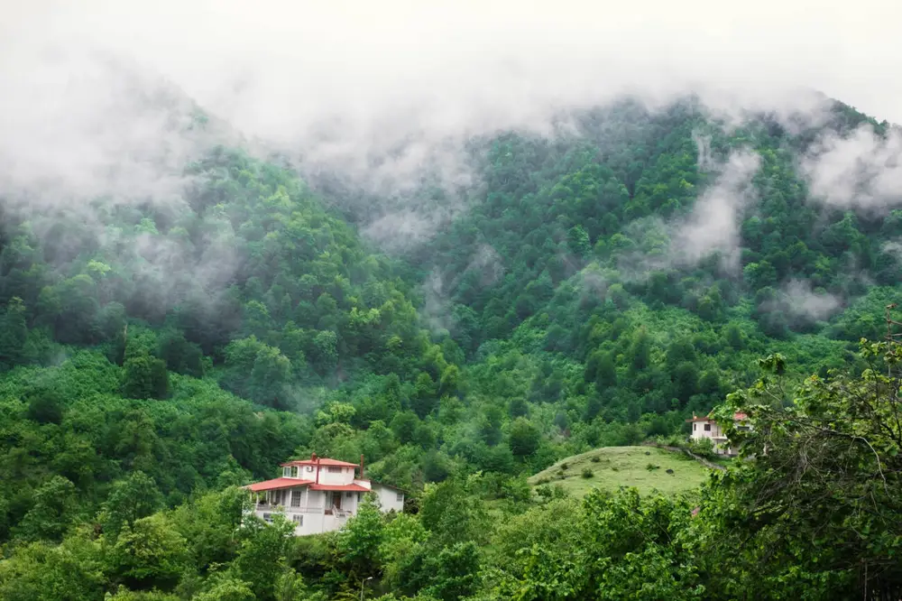 بزرگترین جنگل شمال ایران