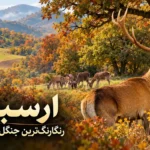 ارسباران