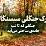 پارک جنگلی سیسنگان