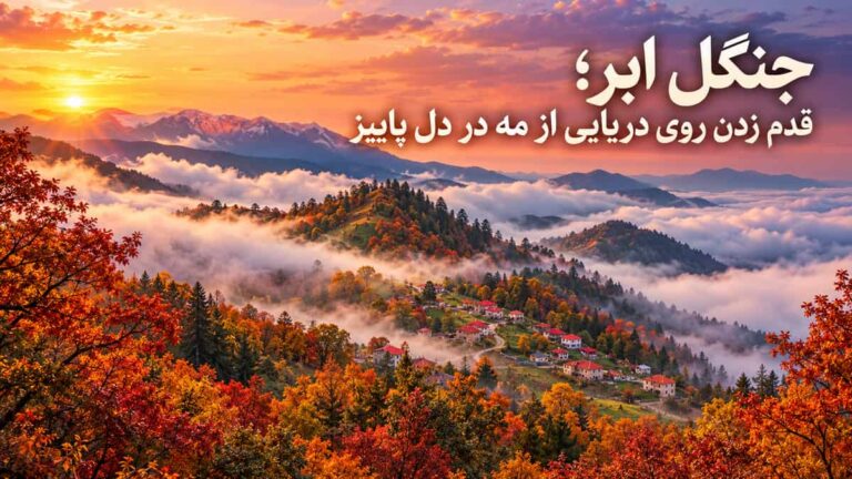 جنگل ابر؛ قدم زدن روی دریایی از مه در دل پاییز