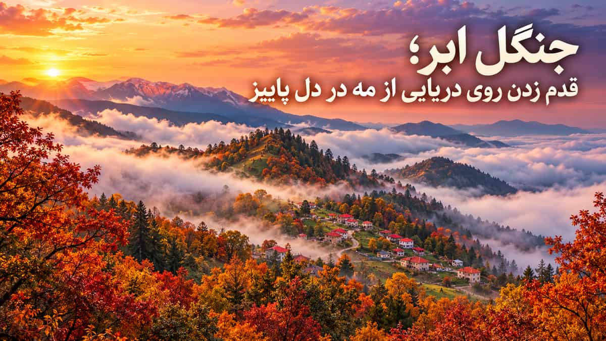 جنگل ابر؛ قدم زدن روی دریایی از مه در دل پاییز