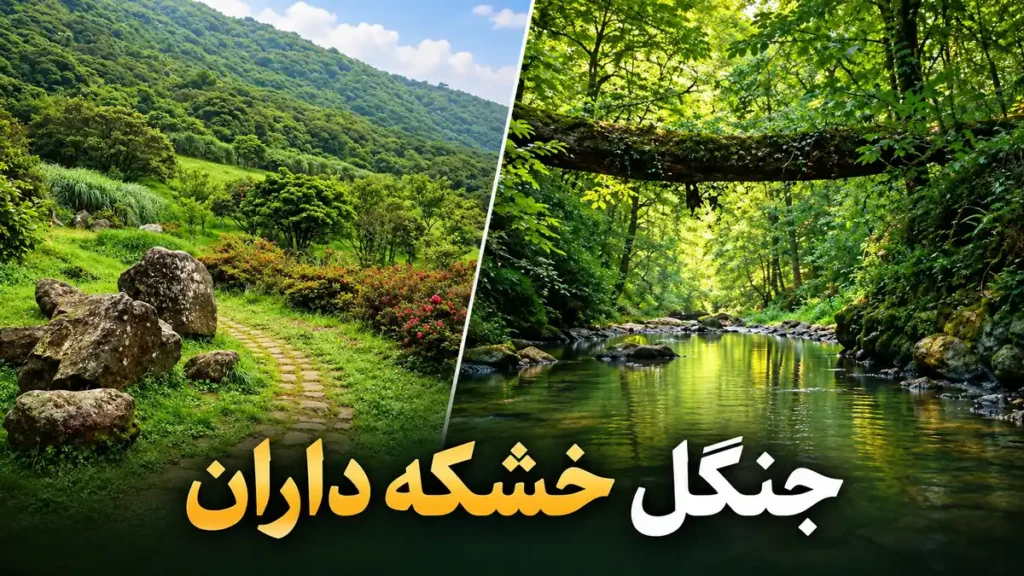 خشکه‌داران