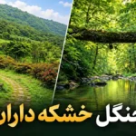 خشکه‌داران