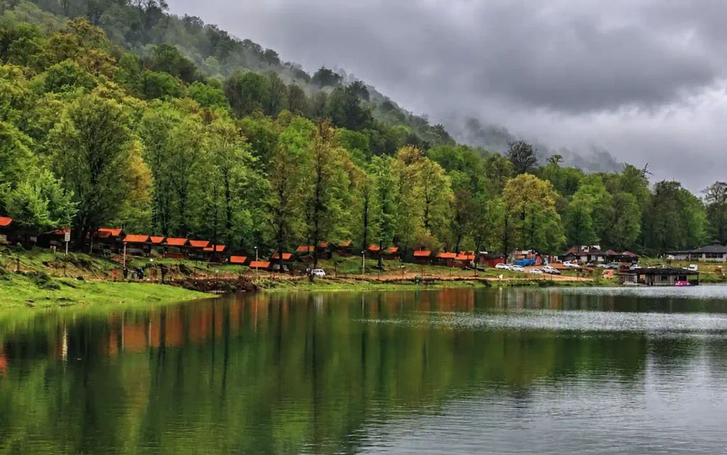 پارک جنگلی نور