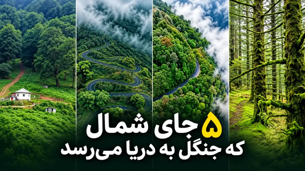 جای شمال که جنگل پاییزی به دریای خزر می‌رسد