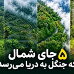 جای شمال که جنگل پاییزی به دریای خزر می‌رسد