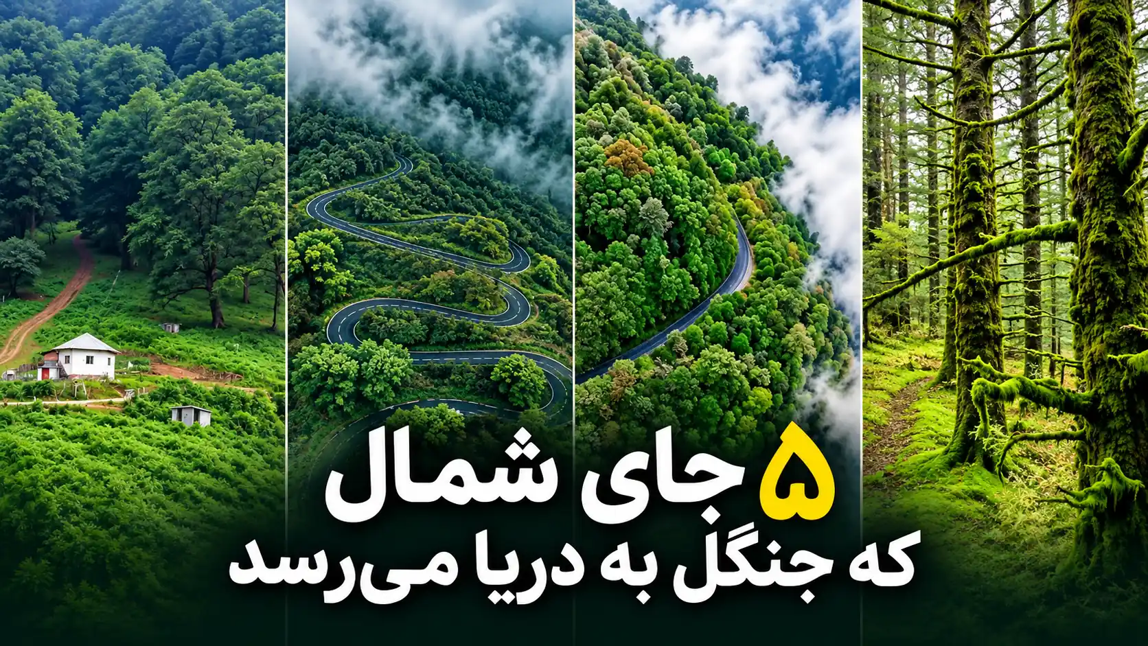 جای شمال که جنگل پاییزی به دریای خزر میرسد