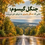 جنگل گیسوم