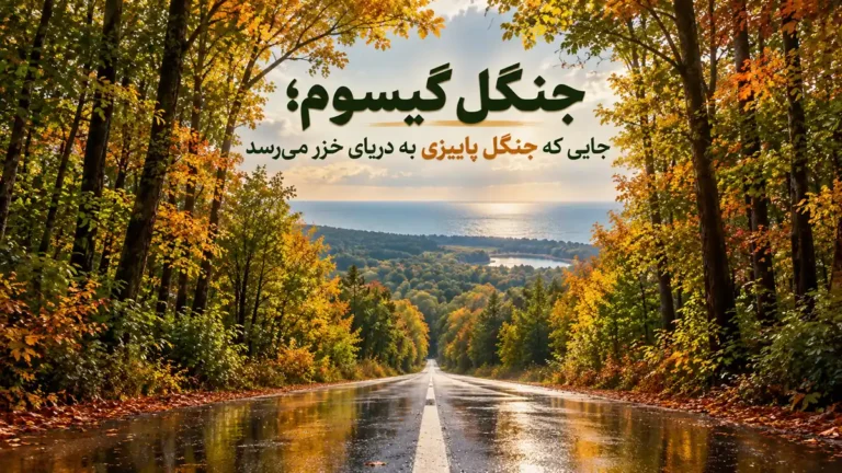 جنگل گیسوم