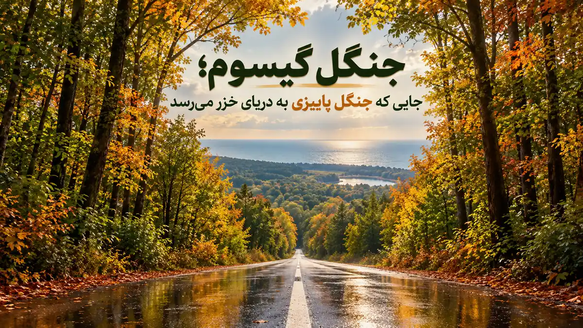 جنگل گیسوم
