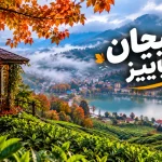 لاهیجان در پاییز؛ شهری که از لابه‌لای مزارع چای مه بلند می‌شود و عطر برگ‌های تازه‌ی چای تا کوچه‌ها می‌آید