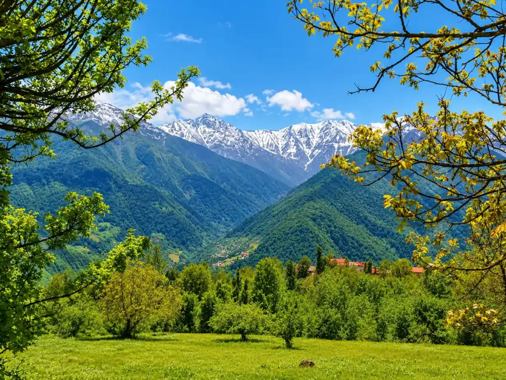 جنگل الیمستان