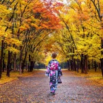 ژاپن در پاییز چه شکلی می‌شود